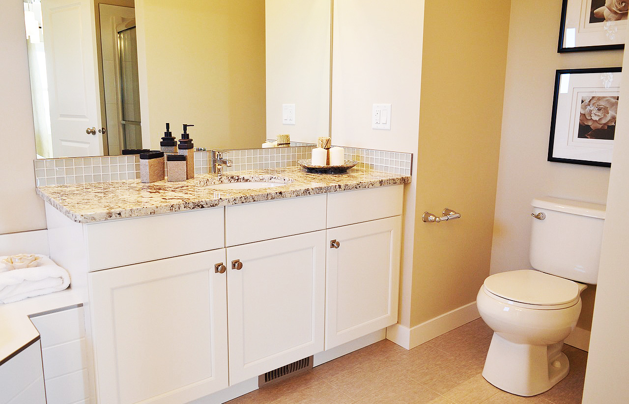 The Dual Flush Toilet Installation aka The Low Flow Toilets Rebate Scam